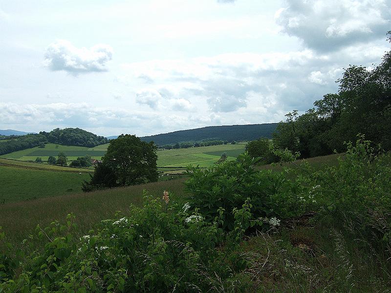 2010-05- (101).JPG